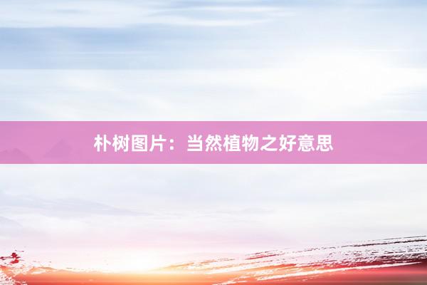 朴树图片：当然植物之好意思